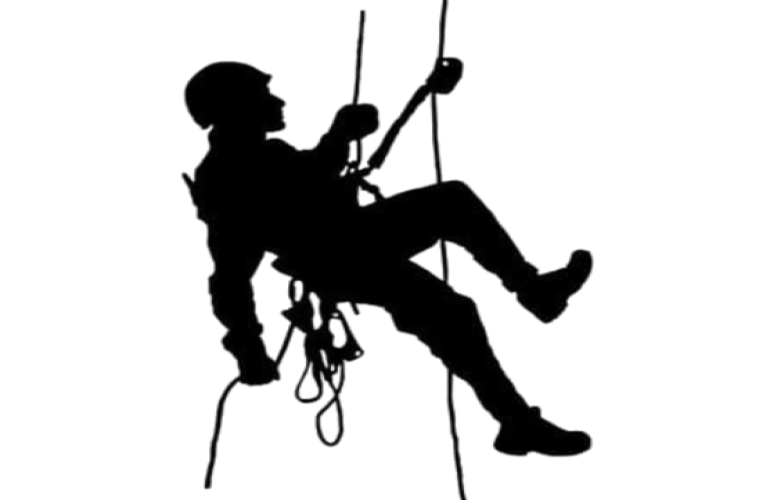 Vizyonumuz